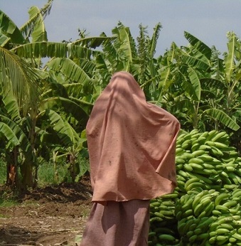 The Long Term Impact