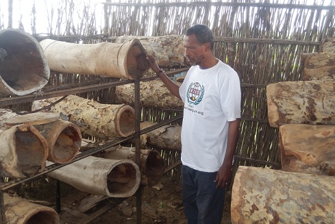 Distributing Bea Hives